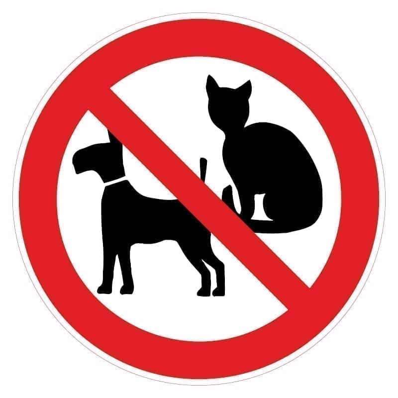 Veilig omgaan met droogijs | verboden voor dieren